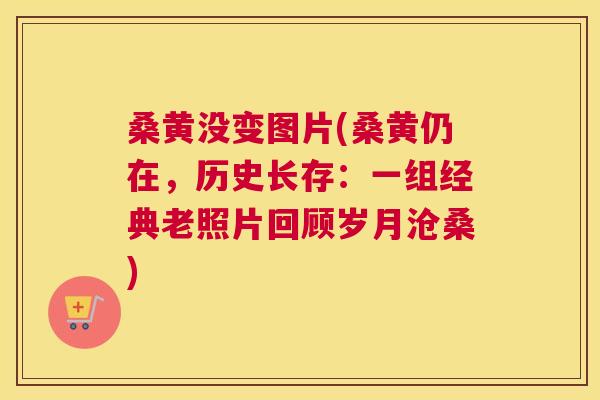 桑黄没变图片(桑黄仍在,历史长存:一组经典老照片回顾岁月沧桑) 桑黄没变图片(桑黄仍在,历史长存:一组经典老照片回顾岁月沧桑)