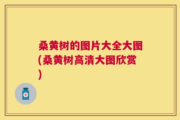 桑黄树的图片大全大图(桑黄树高清大图欣赏) 桑黄树的图片大全大图(桑黄树高清大图欣赏)