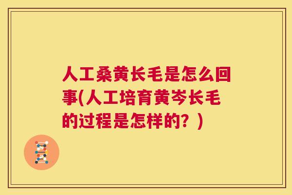 人工桑黄长毛是怎么回事(人工培育黄岑长毛的过程是怎样的?) 人工桑黄长毛是怎么回事(人工培育黄岑长毛的过程是怎样的?)