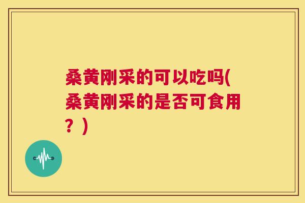桑黄刚采的可以吃吗(桑黄刚采的是否可食用?) 桑黄刚采的可以吃吗(桑黄刚采的是否可食用?)