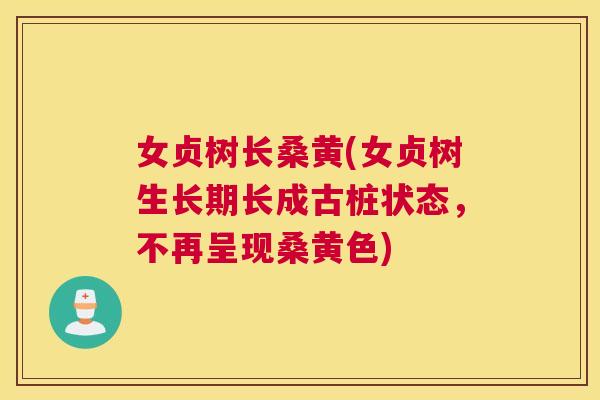 女贞树长桑黄(女贞树生长期长成古桩状态,不再呈现桑黄色) 女贞树长桑黄(女贞树生长期长成古桩状态,不再呈现桑黄色)