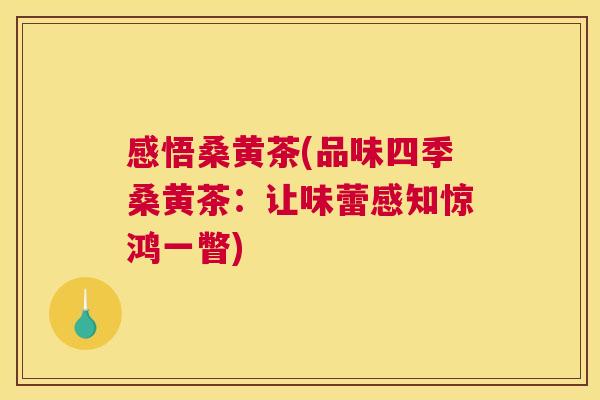 感悟桑黄茶(品味四季桑黄茶:让味蕾感知惊鸿一瞥) 感悟桑黄茶(品味四季桑黄茶:让味蕾感知惊鸿一瞥)