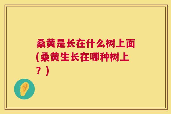 桑黄是长在什么树上面(桑黄生长在哪种树上？)