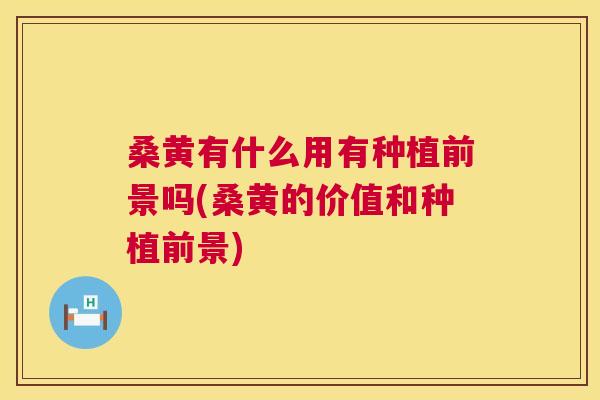 桑黄有什么用有种植前景吗(桑黄的价值和种植前景) 桑黄有什么用有种植前景吗(桑黄的价值和种植前景)