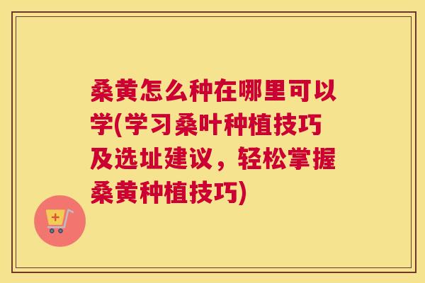 桑黄怎么种在哪里可以学(学习桑叶种植技巧及选址建议,轻松掌握桑黄种植技巧) 桑黄怎么种在哪里可以学(学习桑叶种植技巧及选址建议,轻松掌握桑黄种植技巧)