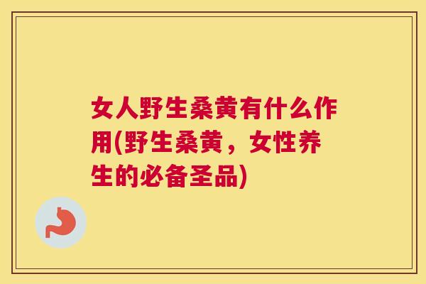 女人野生桑黄有什么作用(野生桑黄,女性养生的必备圣品) 女人野生桑黄有什么作用(野生桑黄,女性养生的必备圣品)
