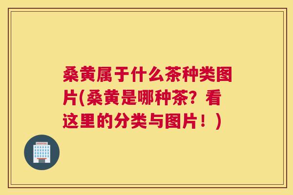 桑黄属于什么茶种类图片(桑黄是哪种茶?看这里的分类与图片!) 桑黄属于什么茶种类图片(桑黄是哪种茶?看这里的分类与图片!)