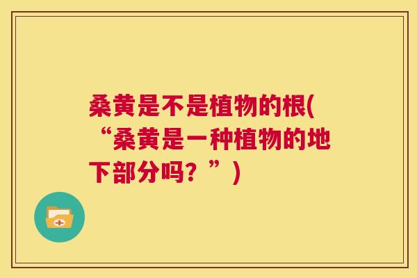 桑黄是不是植物的根(“桑黄是一种植物的地下部分吗?”) 桑黄是不是植物的根(“桑黄是一种植物的地下部分吗?”)