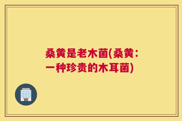 桑黄是老木菌(桑黄:一种珍贵的木耳菌) 桑黄是老木菌(桑黄:一种珍贵的木耳菌)