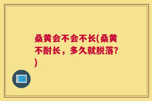 桑黄会不会不长(桑黄不耐长,多久就脱落?) 桑黄会不会不长(桑黄不耐长,多久就脱落?)