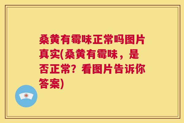 桑黄有霉味正常吗图片真实(桑黄有霉味,是否正常?看图片告诉你答案) 桑黄有霉味正常吗图片真实(桑黄有霉味,是否正常?看图片告诉你答案)