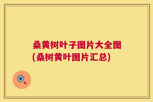 桑黄树叶子图片大全图(桑树黄叶图片汇总) 桑黄树叶子图片大全图(桑树黄叶图片汇总)