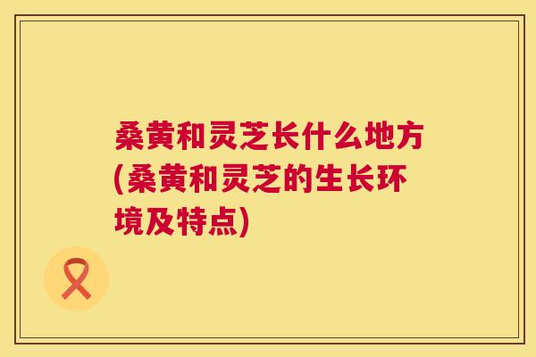 桑黄和灵芝长什么地方(桑黄和灵芝的生长环境及特点) 桑黄和灵芝长什么地方(桑黄和灵芝的生长环境及特点)