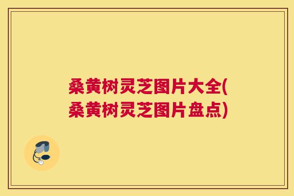 桑黄树灵芝图片大全(桑黄树灵芝图片盘点) 桑黄树灵芝图片大全(桑黄树灵芝图片盘点)