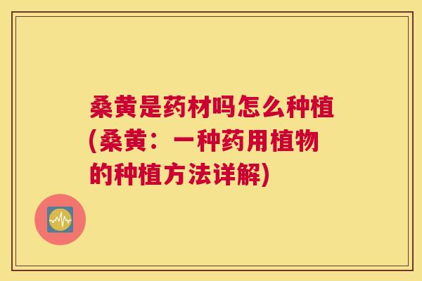 桑黄是药材吗怎么种植(桑黄:一种药用植物的种植方法详解) 桑黄是药材吗怎么种植(桑黄:一种药用植物的种植方法详解)