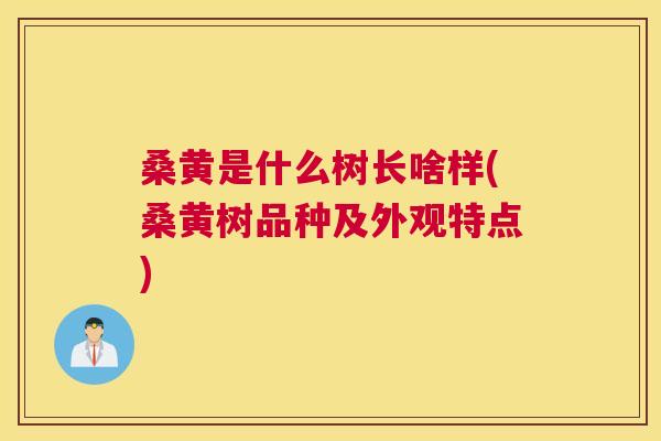 桑黄是什么树长啥样(桑黄树品种及外观特点) 桑黄是什么树长啥样(桑黄树品种及外观特点)