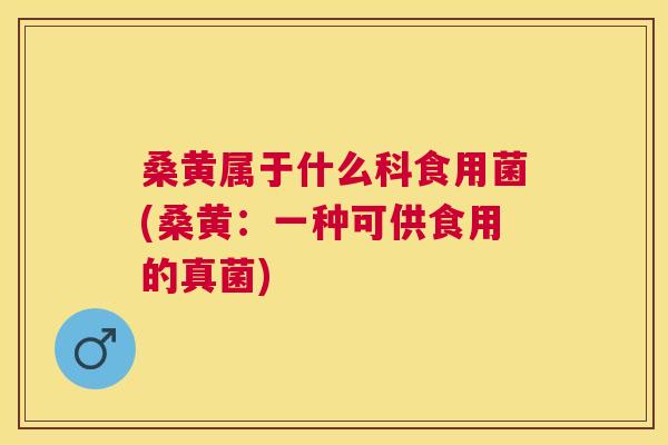 桑黄属于什么科食用菌(桑黄:一种可供食用的真菌) 桑黄属于什么科食用菌(桑黄:一种可供食用的真菌)