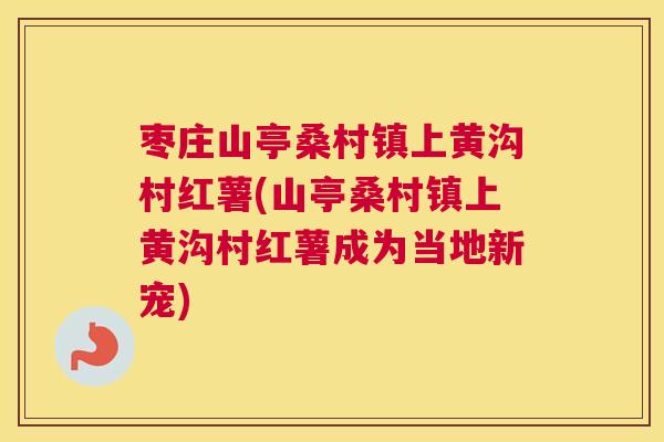 枣庄山亭桑村镇上黄沟村红薯(山亭桑村镇上黄沟村红薯成为当地新宠) 枣庄山亭桑村镇上黄沟村红薯(山亭桑村镇上黄沟村红薯成为当地新宠)