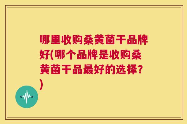 哪里收购桑黄菌干品牌好(哪个品牌是收购桑黄菌干品好的选择?) 哪里收购桑黄菌干品牌好(哪个品牌是收购桑黄菌干品好的选择?)
