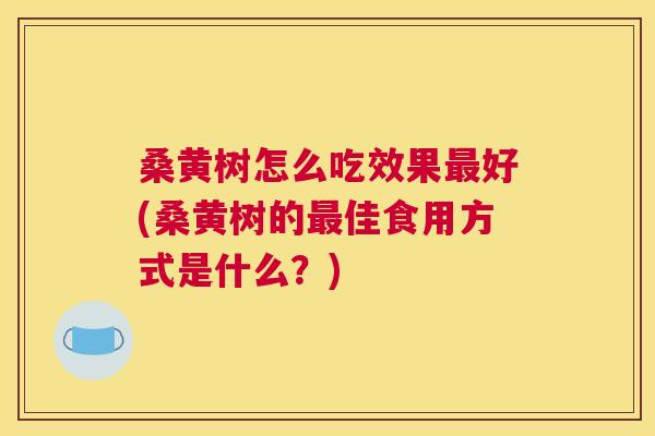 桑黄树怎么吃效果好(桑黄树的佳食用方式是什么?) 桑黄树怎么吃效果好(桑黄树的佳食用方式是什么?)