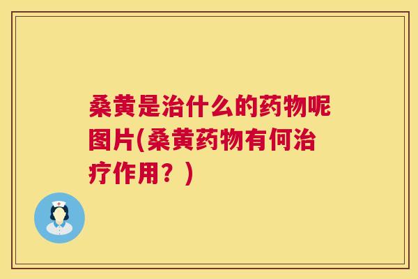 桑黄是什么的呢图片(桑黄有何作用?) 桑黄是什么的呢图片(桑黄有何作用?)