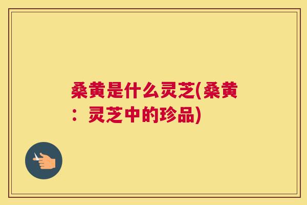 桑黄是什么灵芝(桑黄:灵芝中的珍品) 桑黄是什么灵芝(桑黄:灵芝中的珍品)