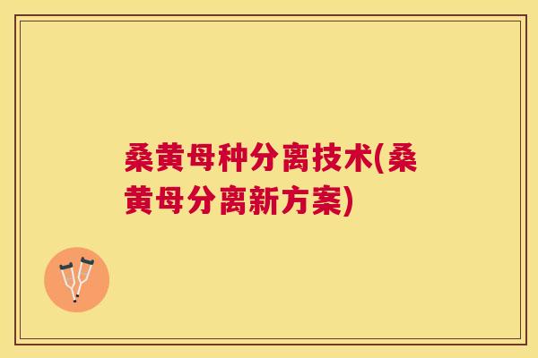 桑黄母种分离技术(桑黄母分离新方案) 桑黄母种分离技术(桑黄母分离新方案)