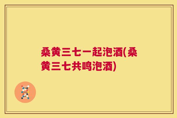 桑黄三七一起泡酒(桑黄三七共鸣泡酒) 桑黄三七一起泡酒(桑黄三七共鸣泡酒)