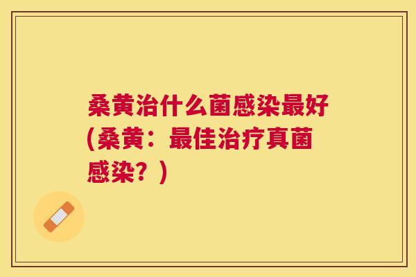 桑黄什么菌好(桑黄:佳真菌?) 桑黄什么菌好(桑黄:佳真菌?)