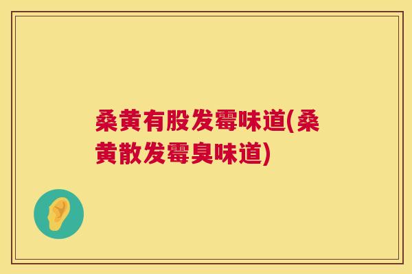 桑黄有股发霉味道(桑黄散发霉臭味道) 桑黄有股发霉味道(桑黄散发霉臭味道)