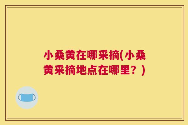 小桑黄在哪采摘(小桑黄采摘地点在哪里?) 小桑黄在哪采摘(小桑黄采摘地点在哪里?)