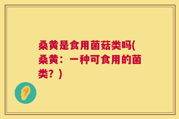 桑黄是食用菌菇类吗(桑黄:一种可食用的菌类?) 桑黄是食用菌菇类吗(桑黄:一种可食用的菌类?)