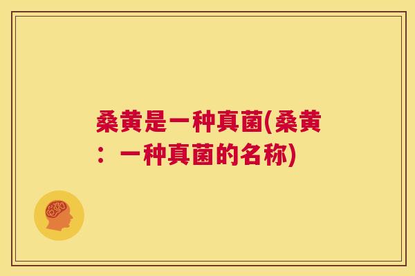 桑黄是一种真菌(桑黄:一种真菌的名称) 桑黄是一种真菌(桑黄:一种真菌的名称)