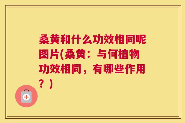 桑黄和什么功效相同呢图片(桑黄:与何植物功效相同,有哪些作用?) 桑黄和什么功效相同呢图片(桑黄:与何植物功效相同,有哪些作用?)