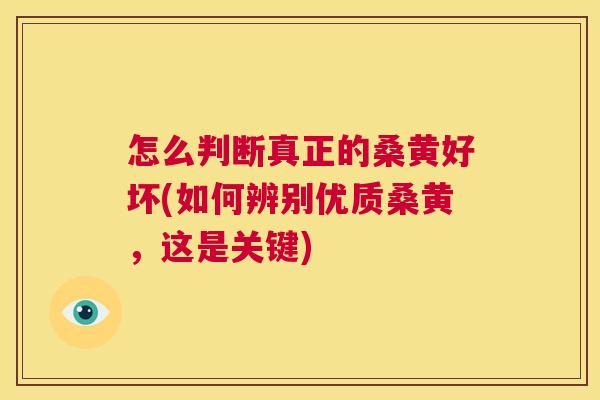 怎么判断真正的桑黄好坏(如何辨别优质桑黄,这是关键) 怎么判断真正的桑黄好坏(如何辨别优质桑黄,这是关键)