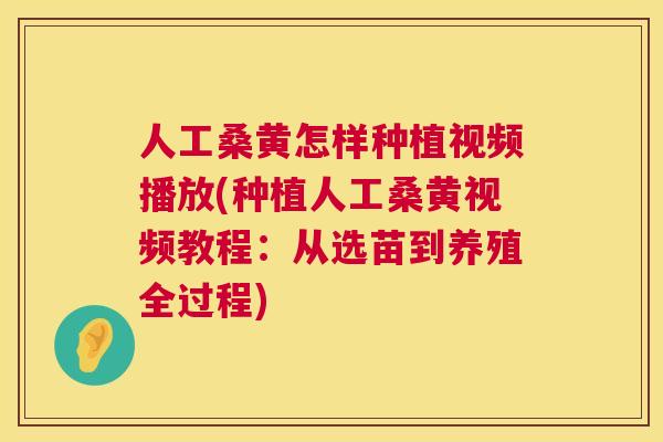 人工桑黄怎样种植视频播放(种植人工桑黄视频教程:从选苗到养殖全过程) 人工桑黄怎样种植视频播放(种植人工桑黄视频教程:从选苗到养殖全过程)