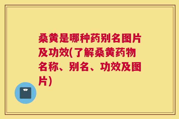 桑黄是哪种药别名图片及功效(了解桑黄名称、别名、功效及图片) 桑黄是哪种药别名图片及功效(了解桑黄名称、别名、功效及图片)