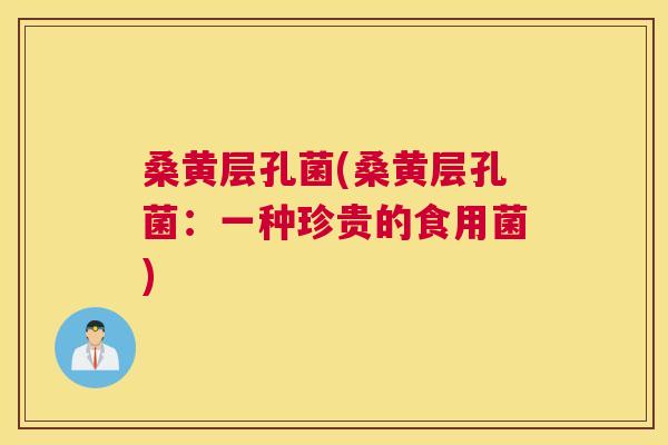 桑黄层孔菌(桑黄层孔菌:一种珍贵的食用菌) 桑黄层孔菌(桑黄层孔菌:一种珍贵的食用菌)