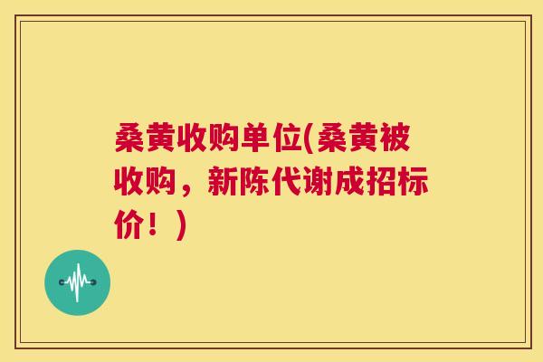 桑黄收购单位(桑黄被收购,成招标价!) 桑黄收购单位(桑黄被收购,成招标价!)