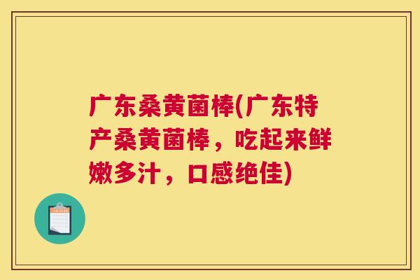 广东桑黄菌棒(广东特产桑黄菌棒,吃起来鲜嫩多汁,口感绝佳) 广东桑黄菌棒(广东特产桑黄菌棒,吃起来鲜嫩多汁,口感绝佳)