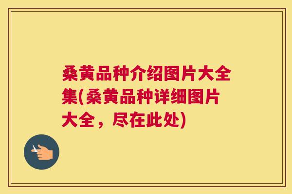 桑黄品种介绍图片大全集(桑黄品种详细图片大全,尽在此处) 桑黄品种介绍图片大全集(桑黄品种详细图片大全,尽在此处)