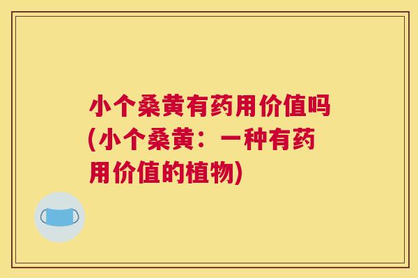 小个桑黄有药用价值吗(小个桑黄:一种有药用价值的植物) 小个桑黄有药用价值吗(小个桑黄:一种有药用价值的植物)