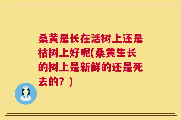 桑黄是长在活树上还是枯树上好呢(桑黄生长的树上是新鲜的还是死去的?) 桑黄是长在活树上还是枯树上好呢(桑黄生长的树上是新鲜的还是死去的?)