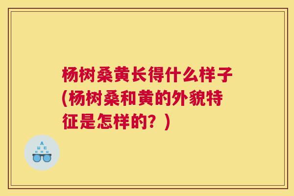 杨树桑黄长得什么样子(杨树桑和黄的外貌特征是怎样的?) 杨树桑黄长得什么样子(杨树桑和黄的外貌特征是怎样的?)