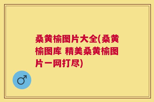 桑黄榆图片大全(桑黄榆图库 精美桑黄榆图片一网打尽) 桑黄榆图片大全(桑黄榆图库 精美桑黄榆图片一网打尽)