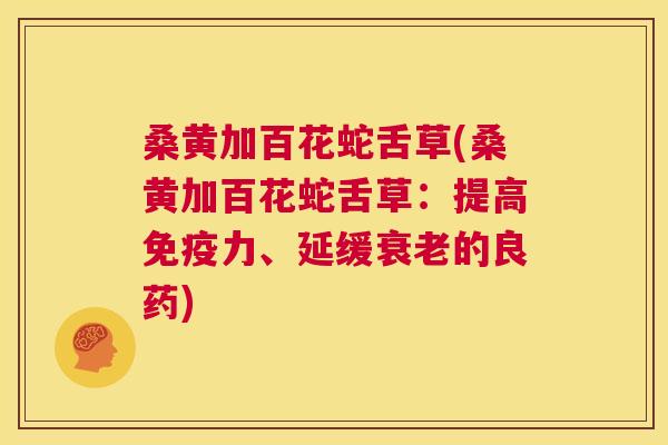 桑黄加百花蛇舌草(桑黄加百花蛇舌草:提高力、延缓的良药) 桑黄加百花蛇舌草(桑黄加百花蛇舌草:提高力、延缓的良药)