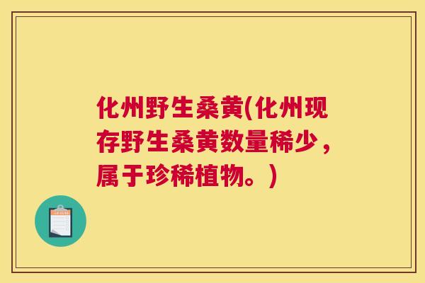 化州野生桑黄(化州现存野生桑黄数量稀少,属于珍稀植物。) 化州野生桑黄(化州现存野生桑黄数量稀少,属于珍稀植物。)