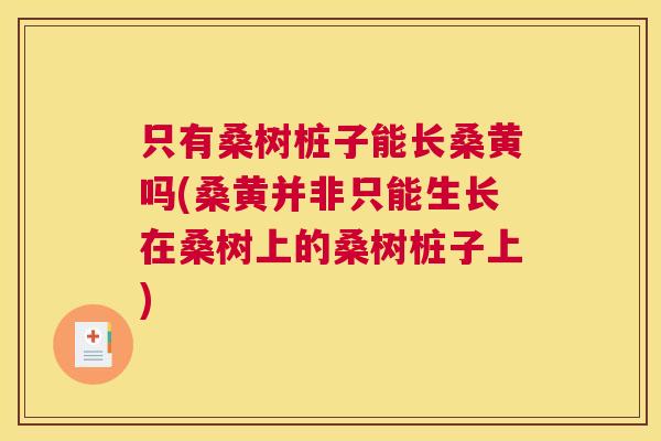只有桑树桩子能长桑黄吗(桑黄并非只能生长在桑树上的桑树桩子上) 只有桑树桩子能长桑黄吗(桑黄并非只能生长在桑树上的桑树桩子上)