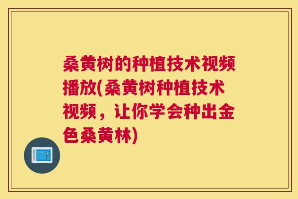 桑黄树的种植技术视频播放(桑黄树种植技术视频,让你学会种出金色桑黄林) 桑黄树的种植技术视频播放(桑黄树种植技术视频,让你学会种出金色桑黄林)