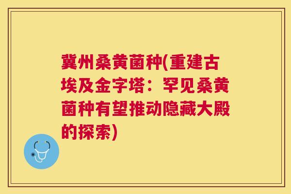 冀州桑黄菌种(重建古埃及金字塔:罕见桑黄菌种有望推动隐藏大殿的探索) 冀州桑黄菌种(重建古埃及金字塔:罕见桑黄菌种有望推动隐藏大殿的探索)